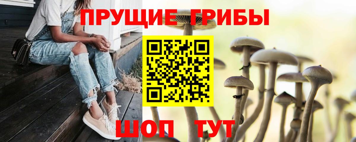 Усть-Илимск  Галлюциногенные грибы Magic Shrooms  Вход с VPN 